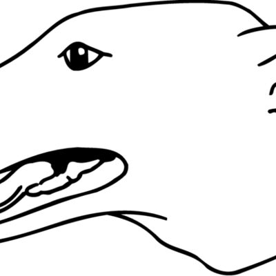 DOG077 Thumbnail