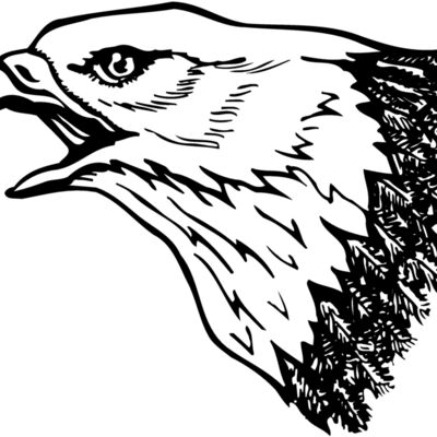EAGLE013 Thumbnail