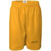 Men's Pro Mesh 9" Shorts Thumbnail